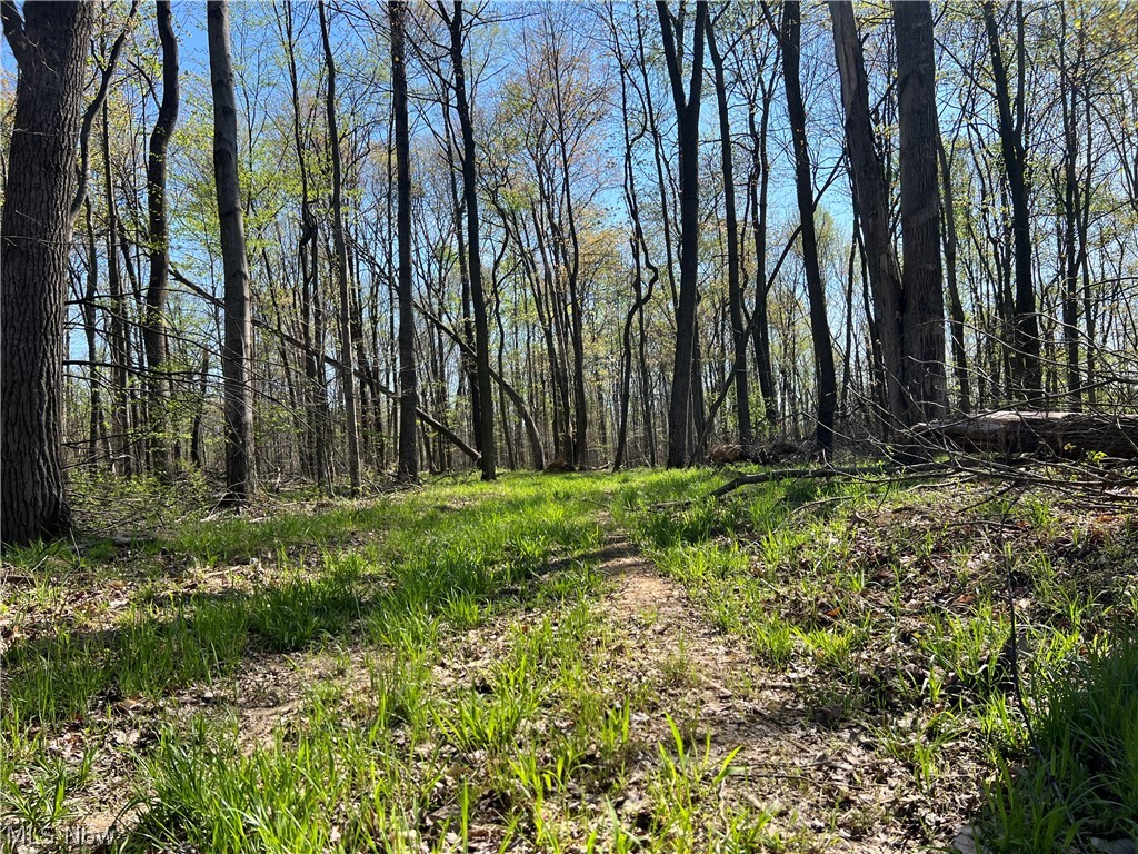8371 French Hill Road NW Bolivar OH 44612