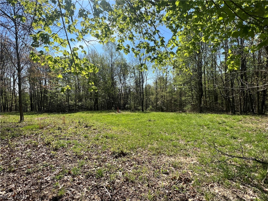 8371 French Hill Road NW Bolivar OH 44612