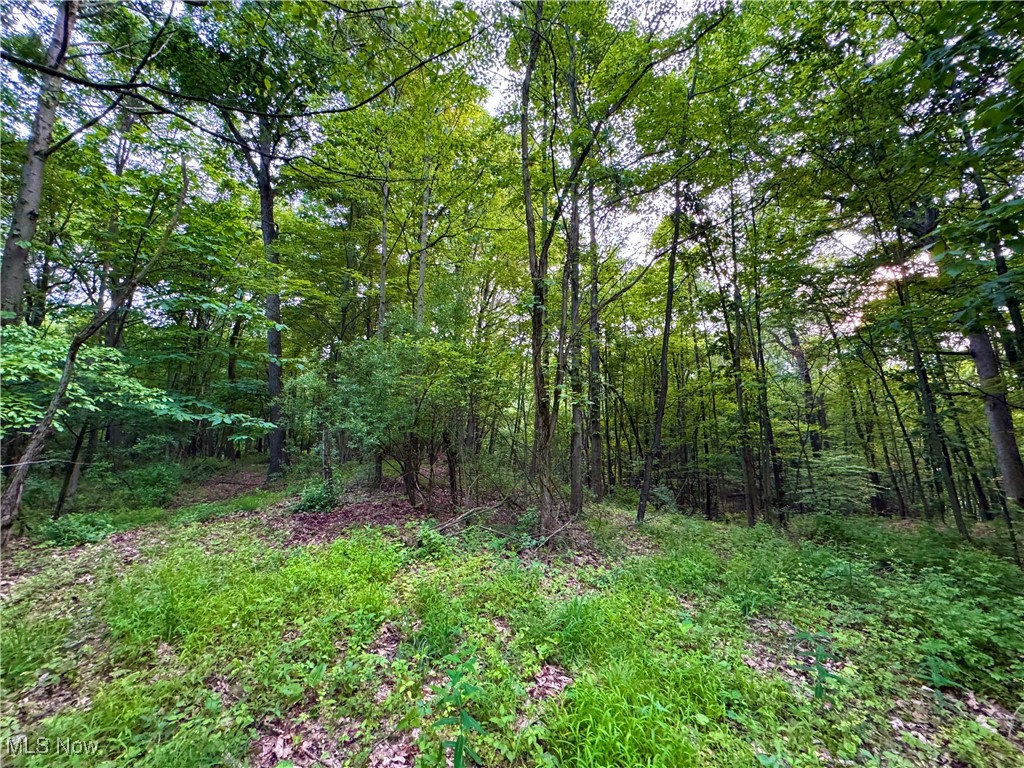 Dundee Strasburg Road NW Strasburg OH 44680