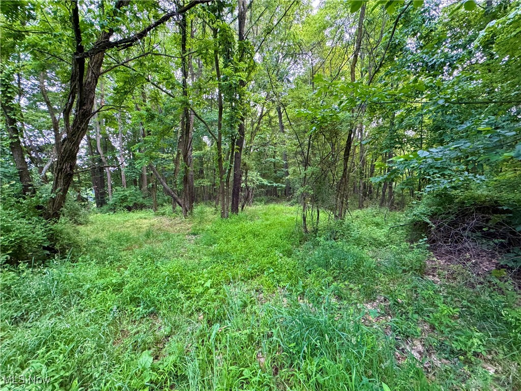 Dundee Strasburg Road NW Strasburg OH 44680