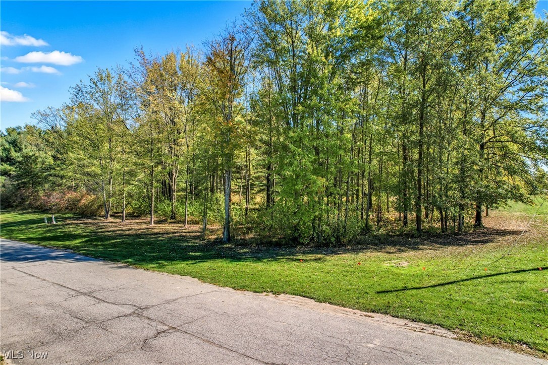 6 Nezbar Drive Warren OH 44481