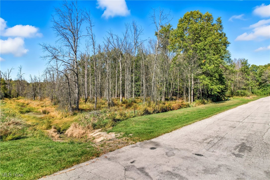 6 Nezbar Drive Warren OH 44481