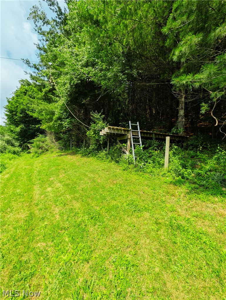 1139 Allgyer Road SE Gnadenhutten OH 44629