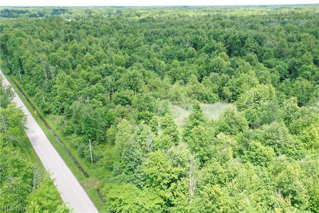 Ninevah Road Geneva OH 44041