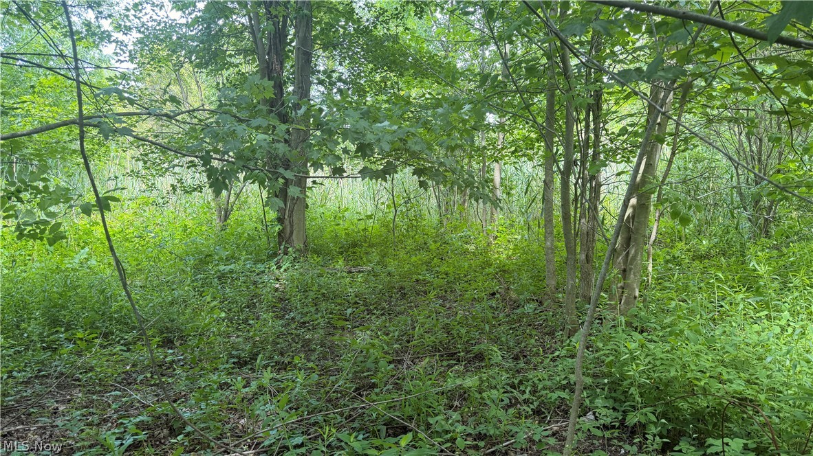 Ninevah Road Geneva OH 44041