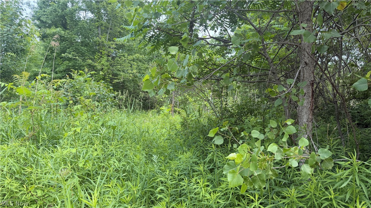 Ninevah Road Geneva OH 44041