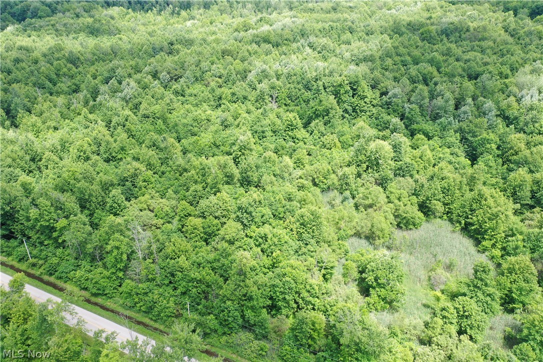 Ninevah Road Geneva OH 44041
