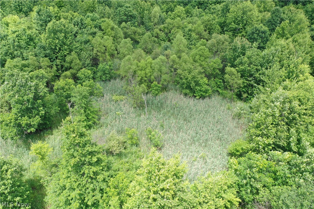 Ninevah Road Geneva OH 44041