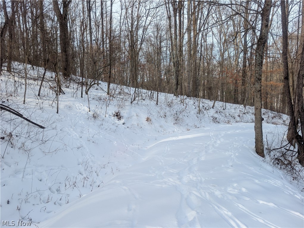0 Tract 10 Kuhn Road Lewisville OH 43754