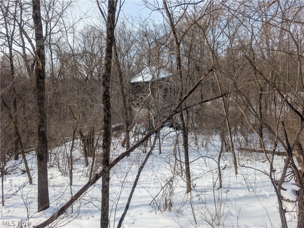 0 Tract 10 Kuhn Road Lewisville OH 43754