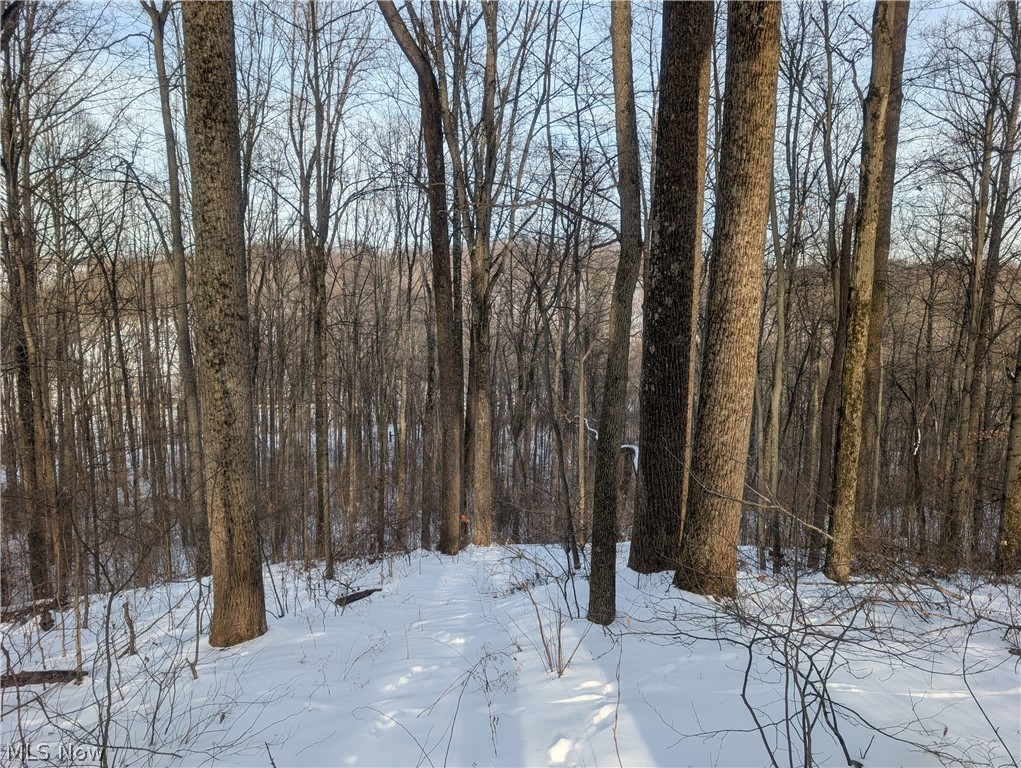 0 Tract 10 Kuhn Road Lewisville OH 43754