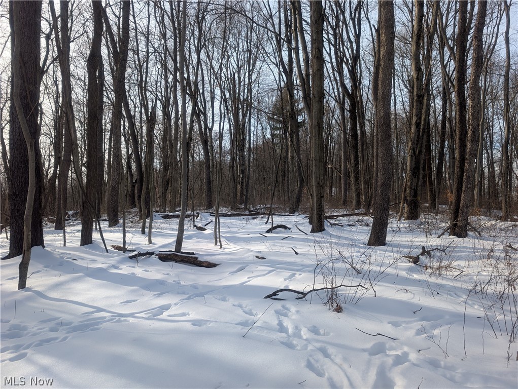 0 Tract 10 Kuhn Road Lewisville OH 43754