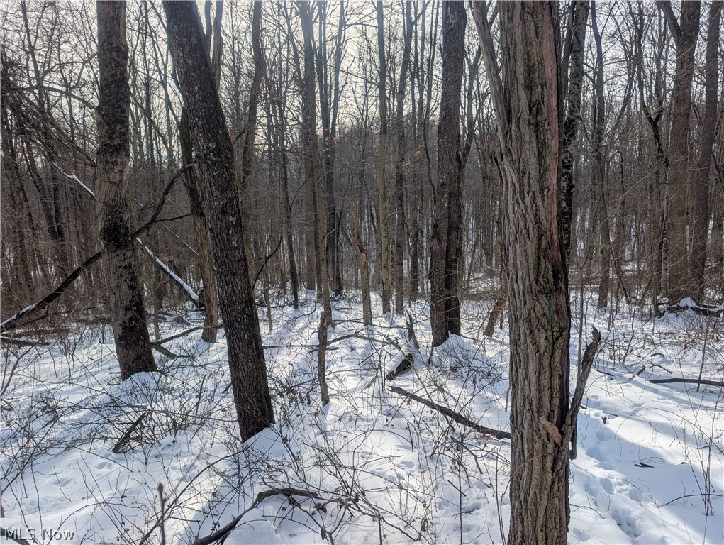0 Tract 10 Kuhn Road Lewisville OH 43754