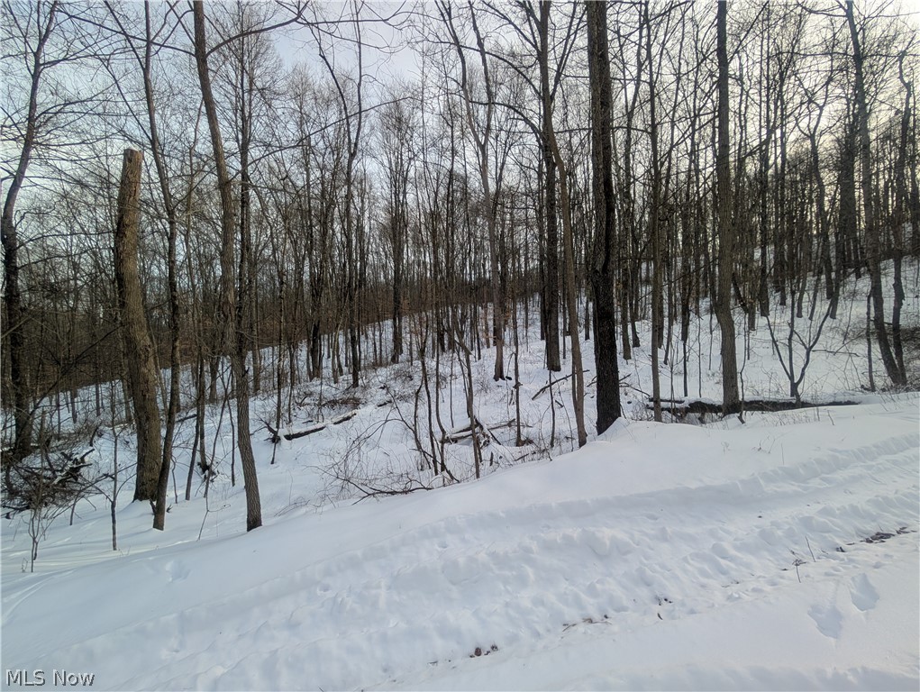 0 Tract 10 Kuhn Road Lewisville OH 43754