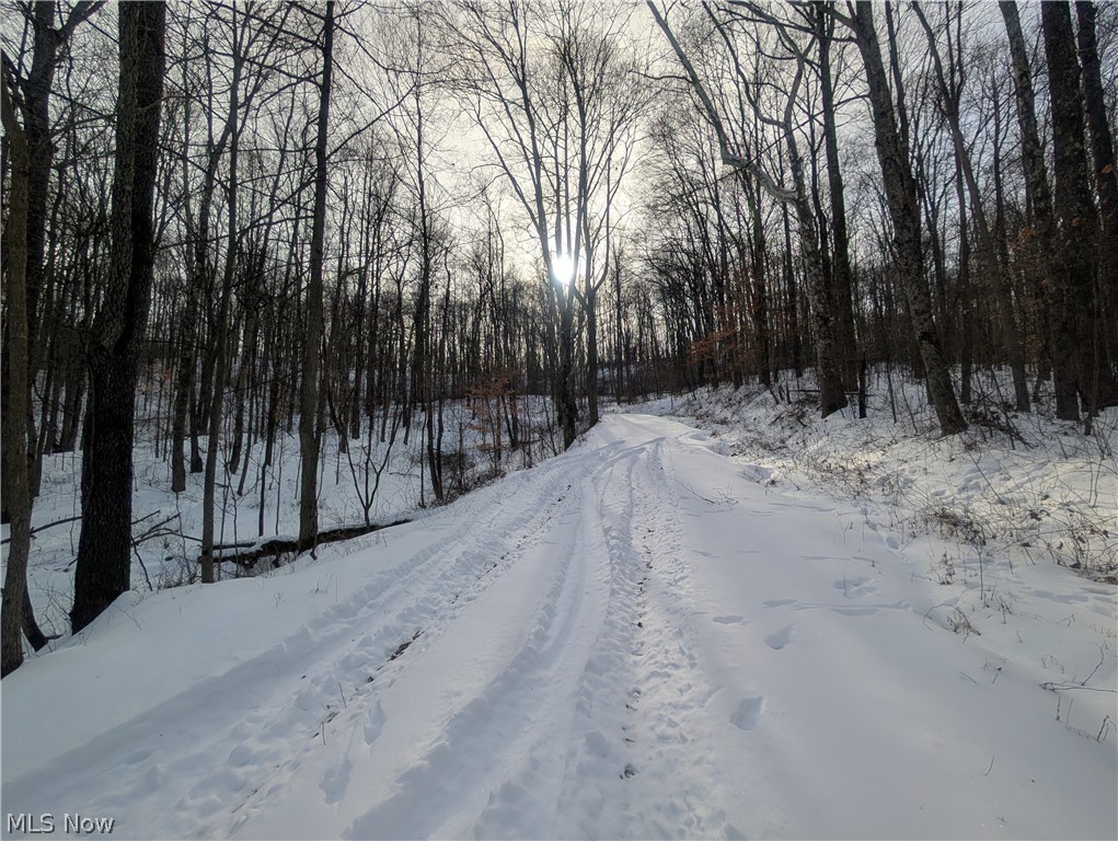 0 Tract 10 Kuhn Road Lewisville OH 43754