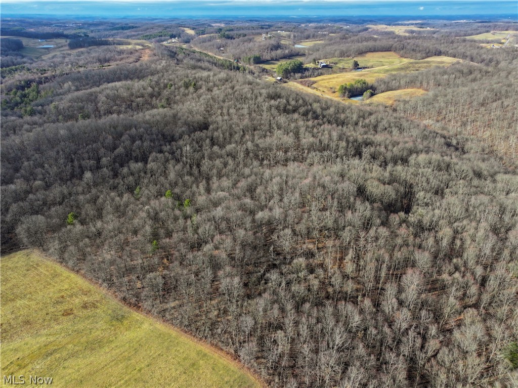 0 Tract 10 Kuhn Road Lewisville OH 43754