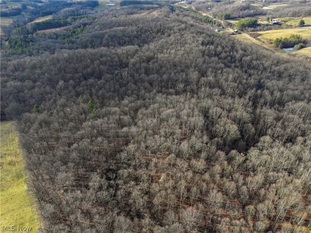 0 Tract 10 Kuhn Road Lewisville OH 43754