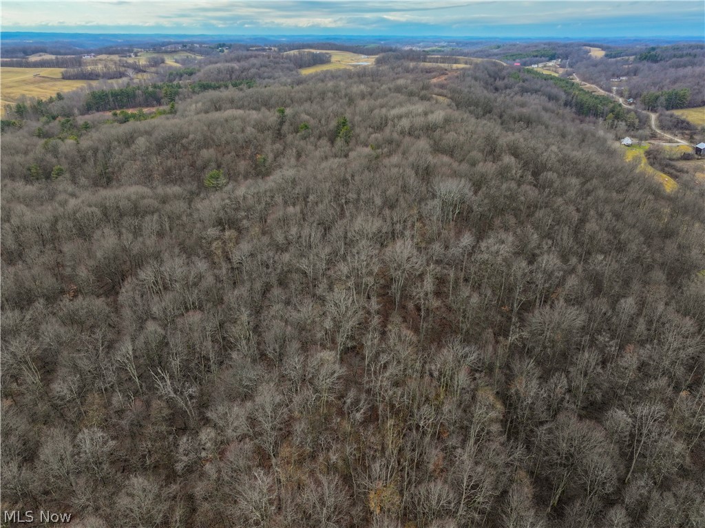 0 Tract 10 Kuhn Road Lewisville OH 43754