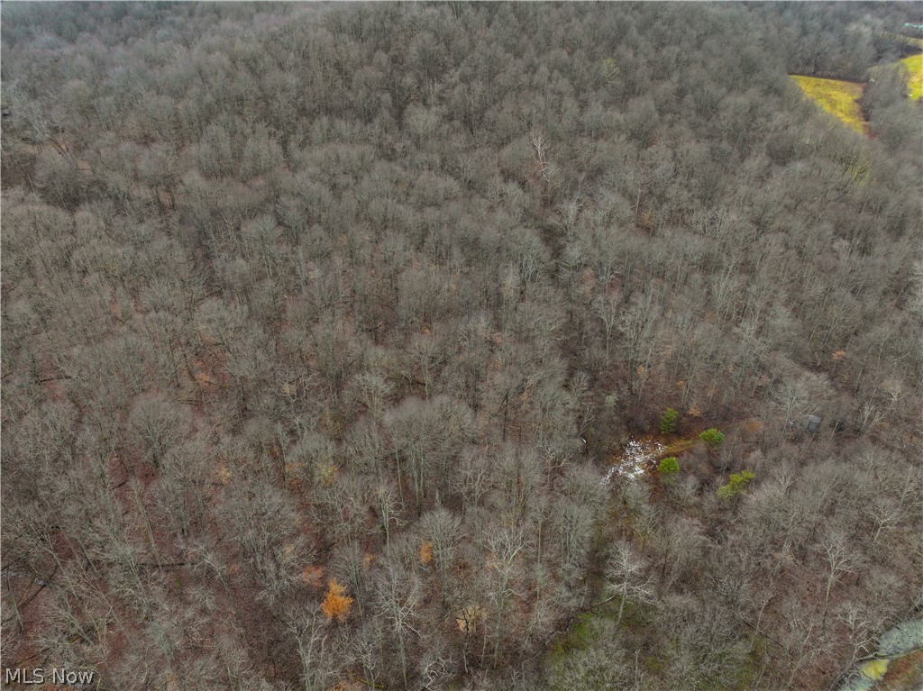 0 Tract 10 Kuhn Road Lewisville OH 43754