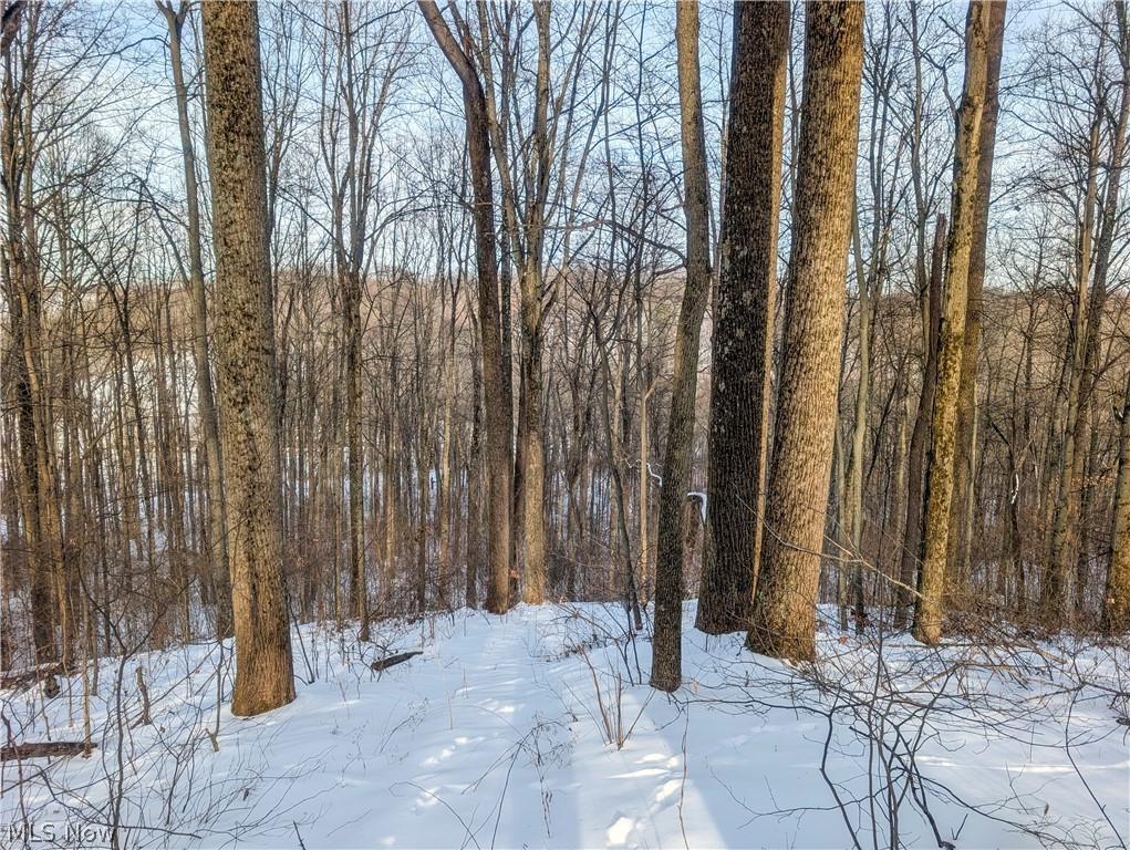 0 Tract 10 Kuhn Road Lewisville OH 43754
