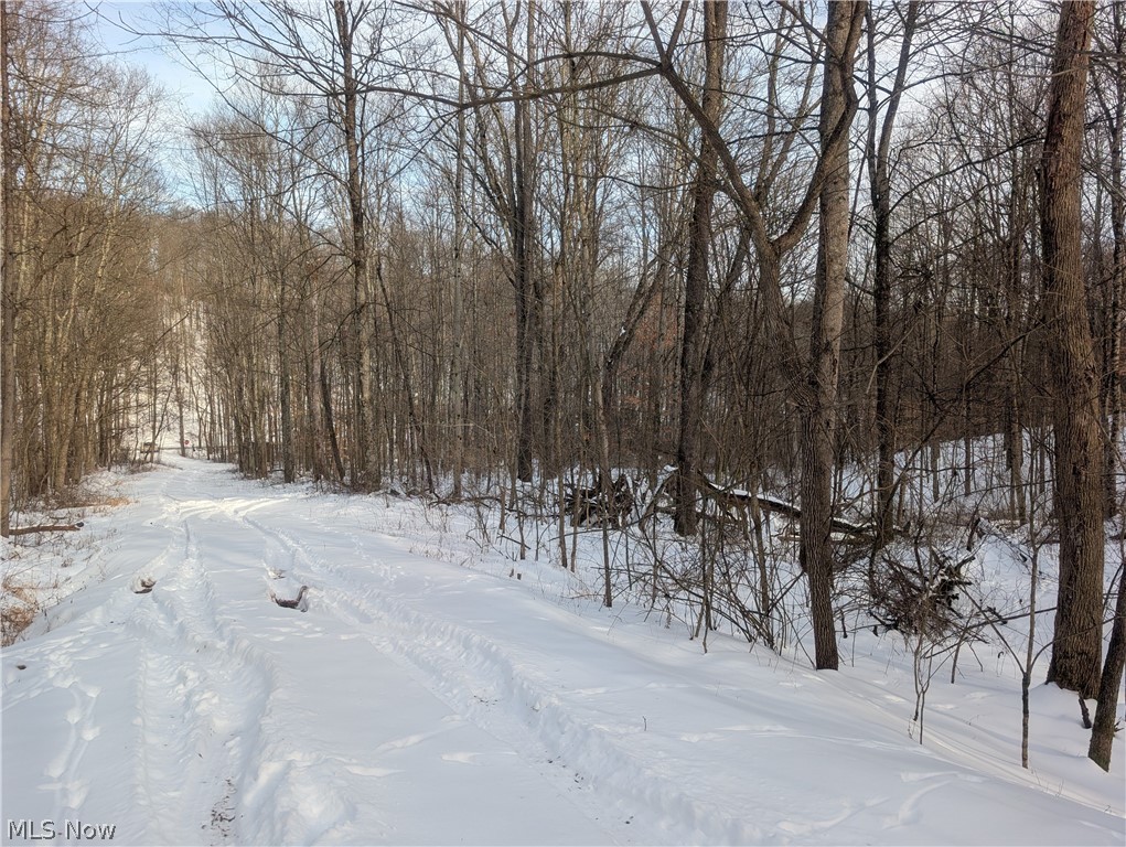 0 Tract 10 Kuhn Road Lewisville OH 43754