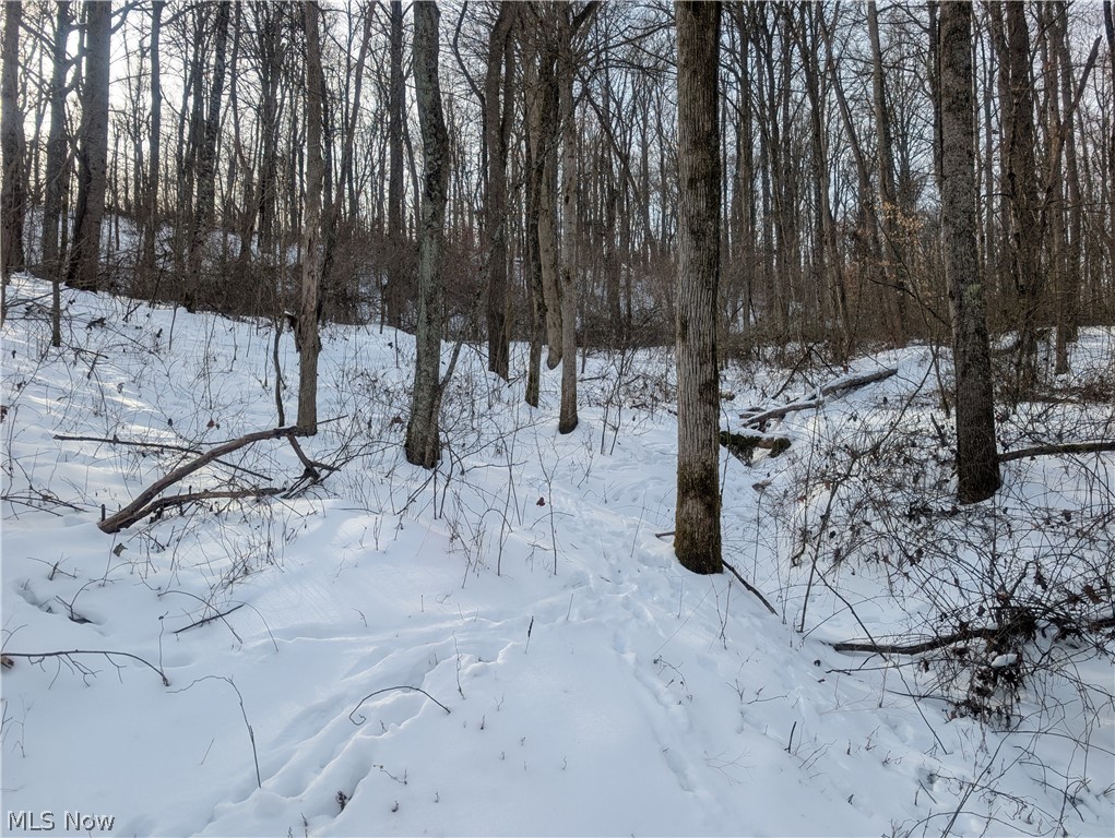 0 Tract 10 Kuhn Road Lewisville OH 43754