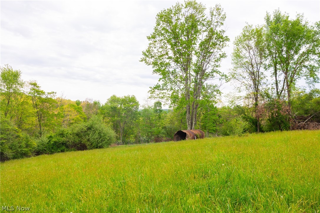 37795 Sheep Skin Ridge Lower Salem OH 45745