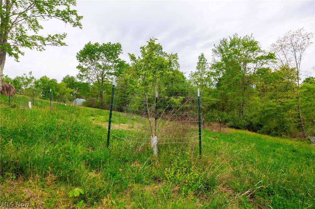 37795 Sheep Skin Ridge Lower Salem OH 45745