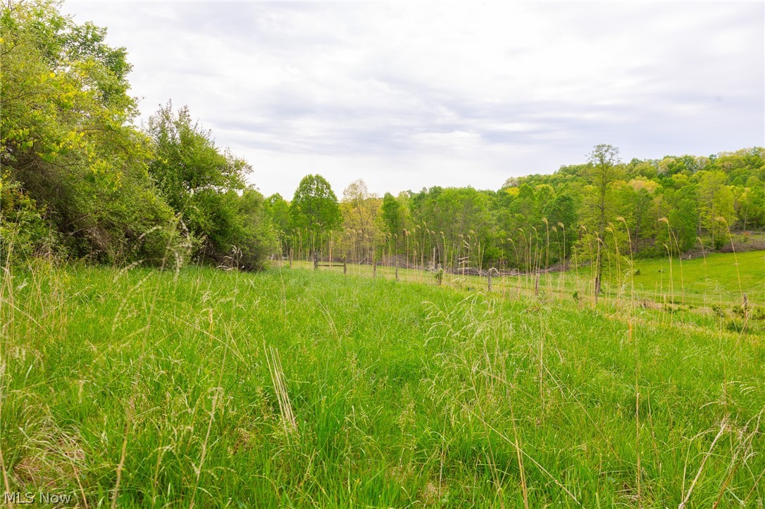 37795 Sheep Skin Ridge Lower Salem OH 45745