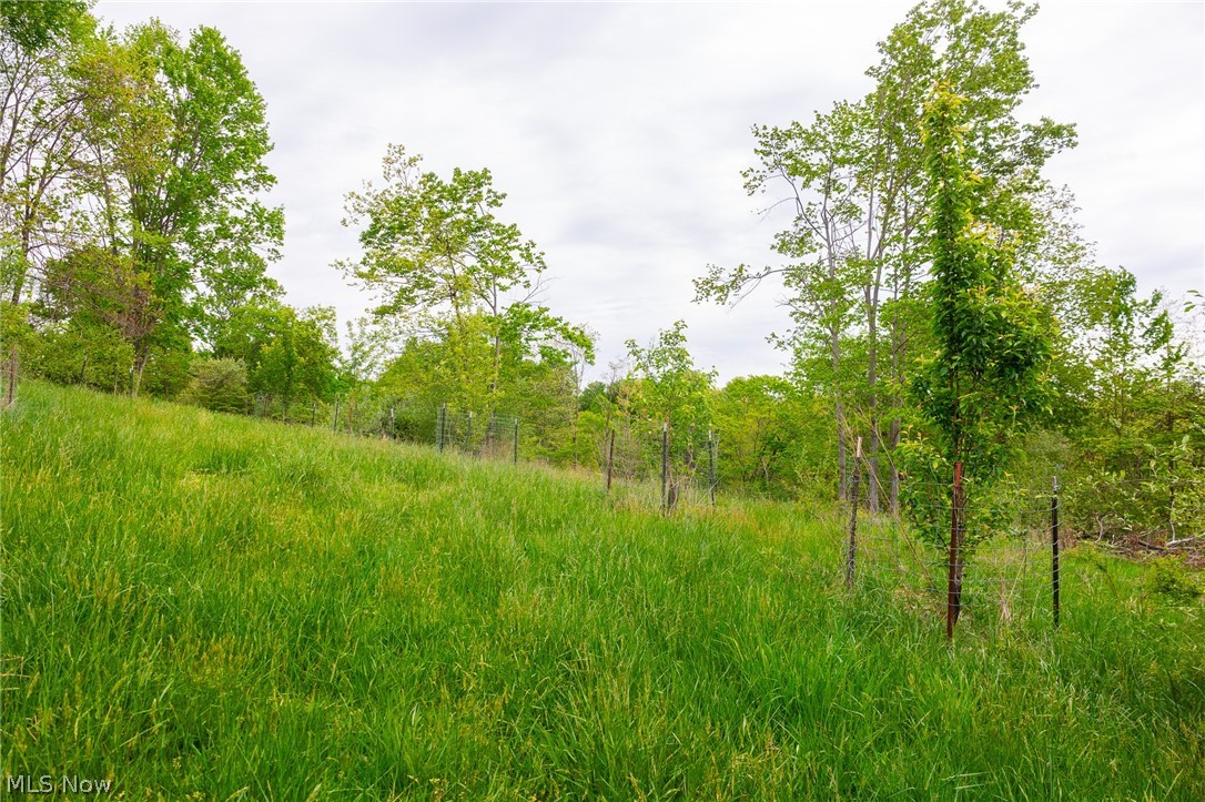 37795 Sheep Skin Ridge Lower Salem OH 45745