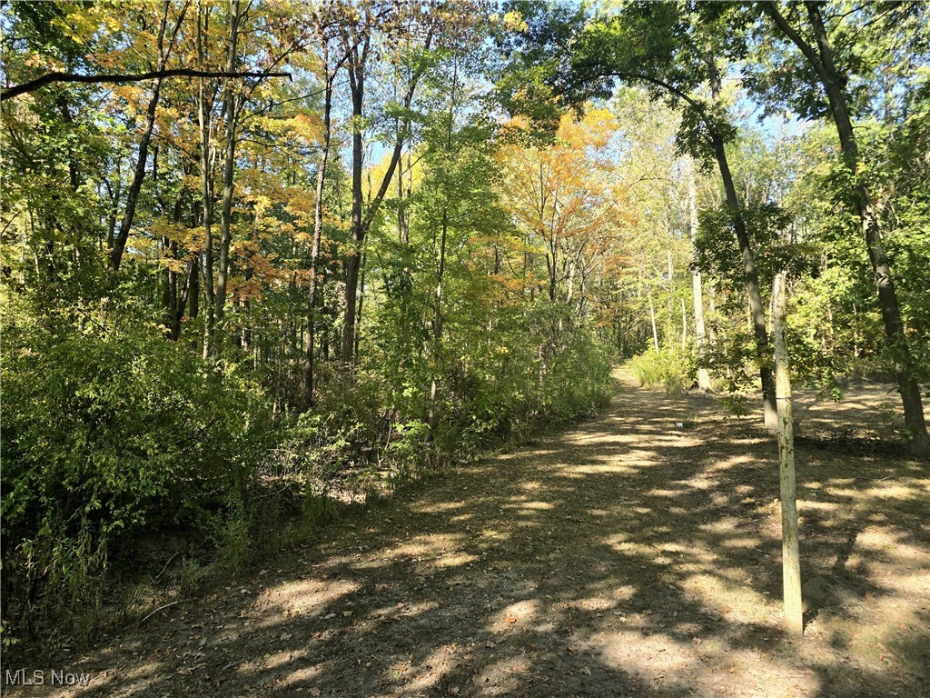 10745 Leffingwell Road North Benton OH 44449