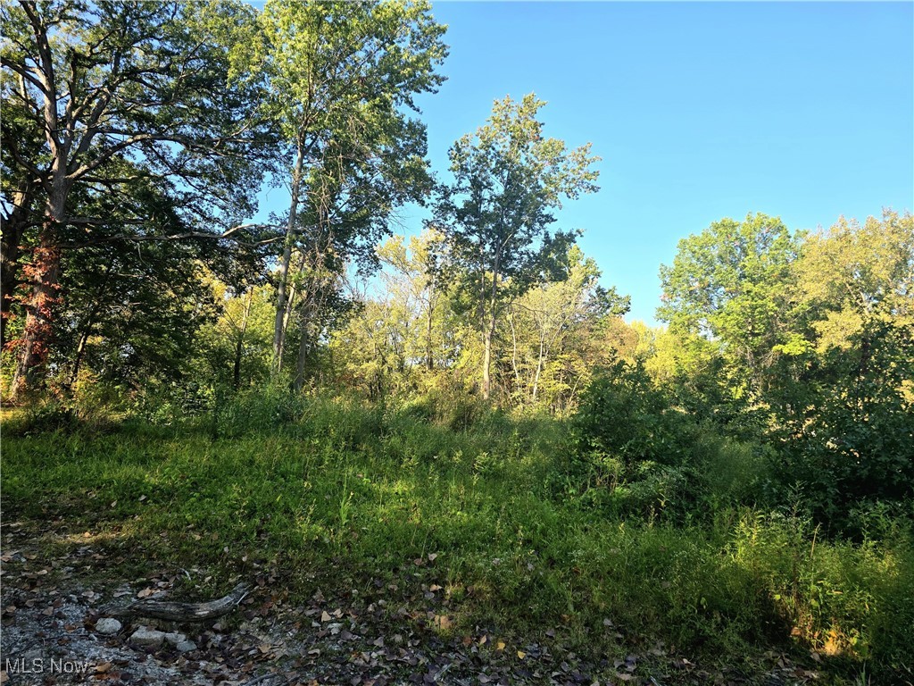 10745 Leffingwell Road North Benton OH 44449