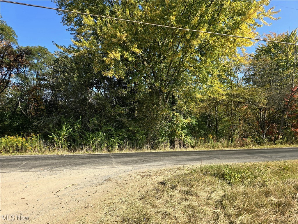 10745 Leffingwell Road North Benton OH 44449