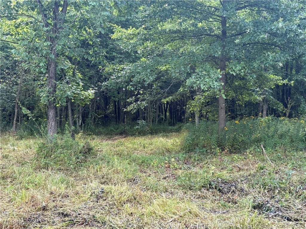 Hartville Road N Randolph OH 44632
