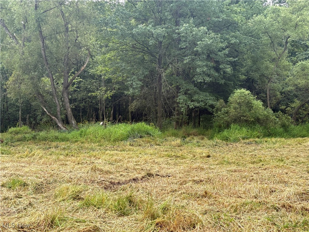 Hartville Road N Randolph OH 44632