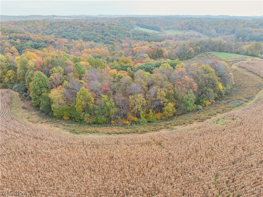 7733 Elliott Road Newcomerstown OH 43832