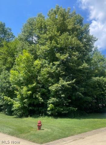 V/l 258 Stony Brook Lane Wakeman OH 44889