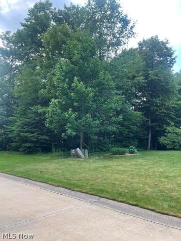 V/l 258 Stony Brook Lane Wakeman OH 44889
