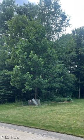 V/l 258 Stony Brook Lane Wakeman OH 44889