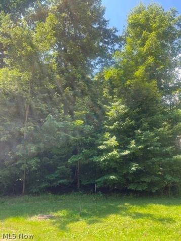 V/l 258 Stony Brook Lane Wakeman OH 44889