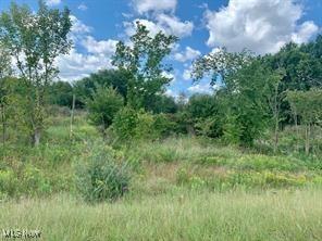 Akron Road Doylestown OH 44230