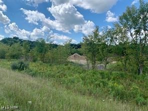 Akron Road Doylestown OH 44230