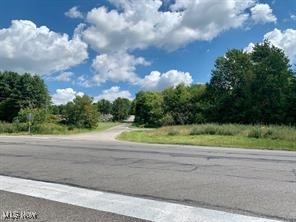 Akron Road Doylestown OH 44230