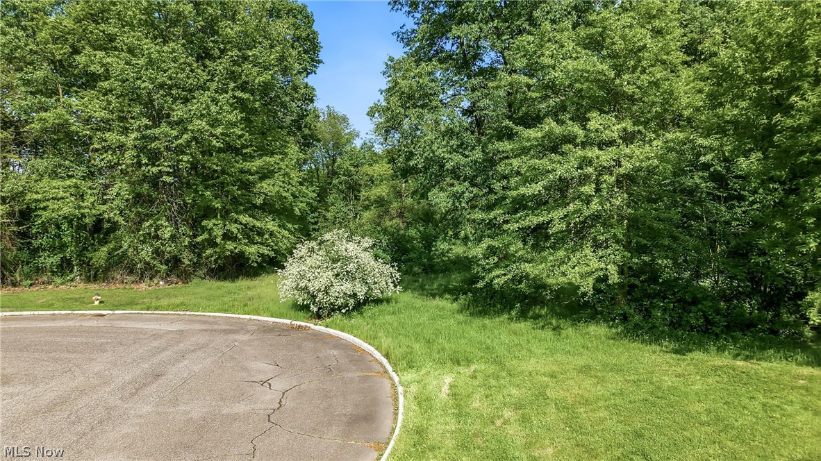 Cheeks Court Cortland OH 44410
