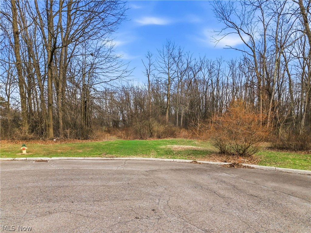 Cheeks Court Cortland OH 44410