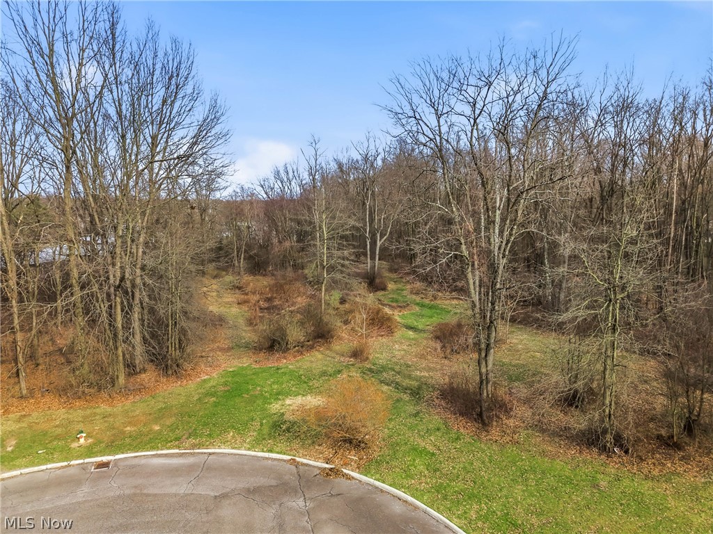 Cheeks Court Cortland OH 44410