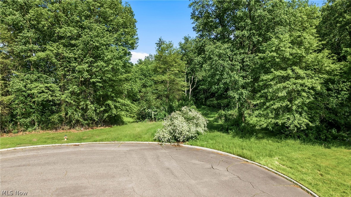 Cheeks Court Cortland OH 44410