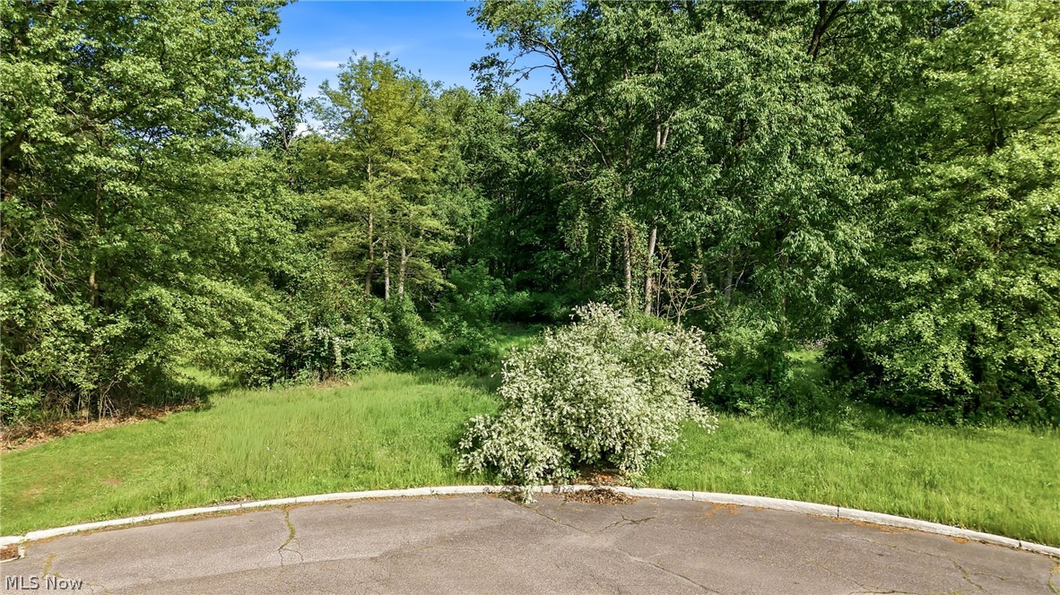 Cheeks Court Cortland OH 44410