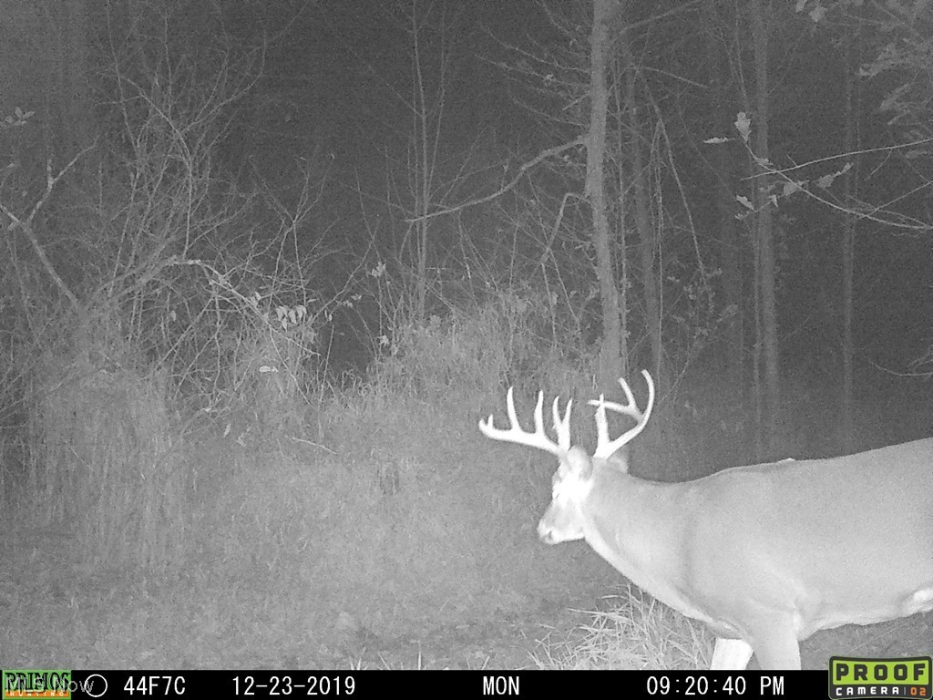 748 Twp. Road 150 Sullivan OH 44880
