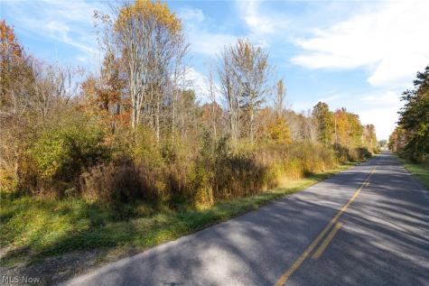 Wayland Road Deerfield OH 44411